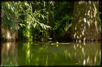 /album/tajkepek/p7272111-jpg/