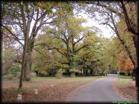 /album/tajkepek/kastelypark-jpg/