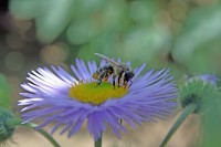 /album/termeszetfotok/img-0029-jpg/