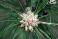 /album/termeszetfotok/img-0083-jpg/