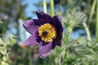 /album/termeszetfotok/img-0089-jpg/