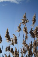 /album/termeszetfotok/img-2130-jpg/