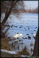 /album/termeszetfotok/csucsforgalom-jpg/