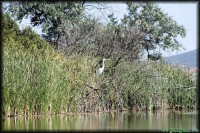 /album/termeszetfotok/topart-jpg/