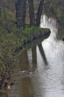 /album/tajkepek/img-2351-jpg/