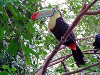 /album/allatkert/allatkert2-jpg/