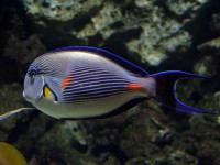 /album/allatkert/allatkert11-jpg/