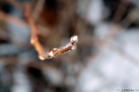 /album/termeszetfotok/jeges-jpg/