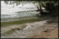 /album/tajkepek/hullamzik-jpg/