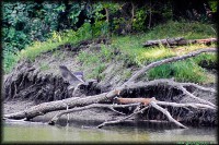 /album/termeszetfotok/hopp-jpg/