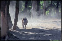 /album/termeszetfotok/rofi-jpg/