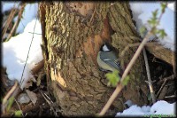 /album/termeszetfotok/haho-van-bent-valaki-jpg/