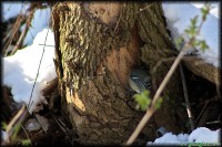 /album/termeszetfotok/haho-van-bent-valaki-2-jpg/