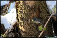 /album/termeszetfotok/haho-van-bent-valaki-3-jpg/