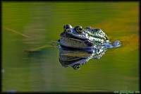 /album/termeszetfotok/duplabeka-jpg/