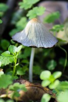 /album/termeszetfotok/mg-0927-jpg/