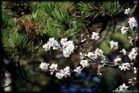 /album/termeszetfotok/mg-1080-jpg/