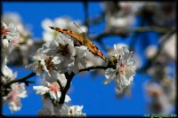 /album/termeszetfotok/mg-1083-jpg/