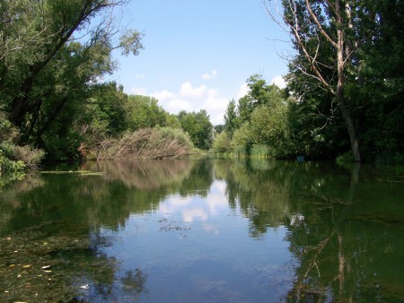 holtág